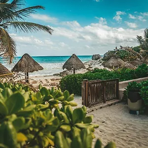 La Conchita (adults Only) 4* Tulum