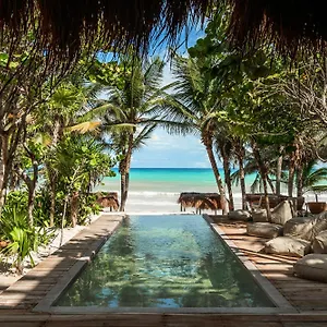 Xela - Member Of Design 5* Tulum
